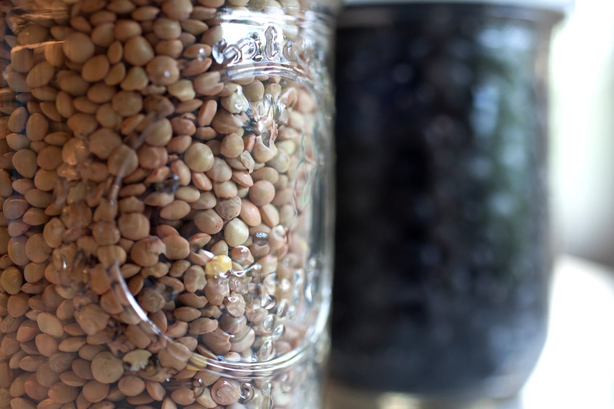 Lentils sit in a jar. 