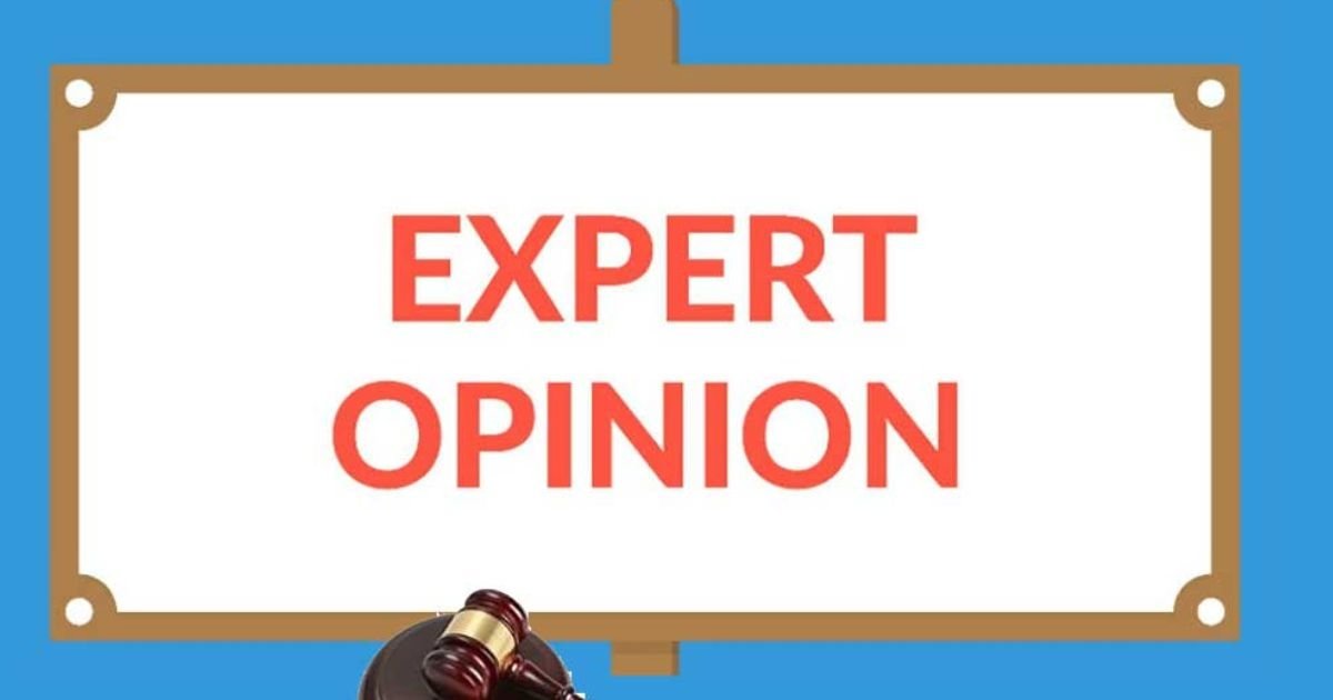Expert Opinion