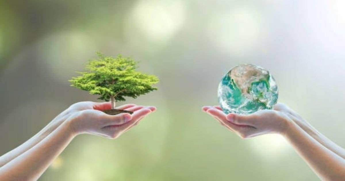 GreenGeeks' Environmental Commitment