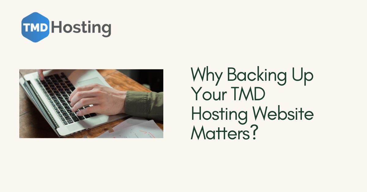 Why Backing Up Your TMD Hosting Website Matters + How to Backup Your TMD Hosting Website